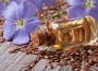 Живительная сила льняного масла для волос – преимущества и недостатки. Учимся делать маски с льняным маслом для волос: питание и укрепление
