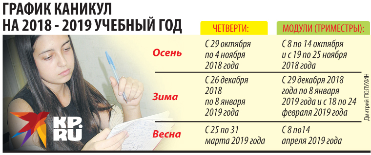 Каникулы в 2018-2019 учебном году в школе: осенние, зимние, весенние, летние