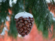 Выходные и праздничные дни в январе 2020: как отдыхаем и сколько работаем