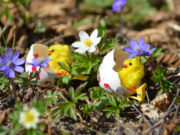 Выходные и праздничные дни в апреле 2019: как отдыхаем и сколько работаем