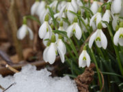 Выходные и праздничные дни в марте 2020: как отдыхаем и сколько работаем