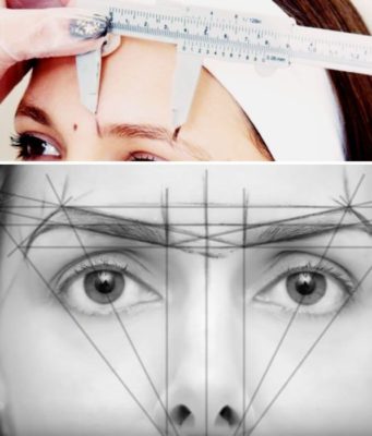 Основные этапы моделирования бровей