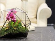 Виды флорариумов