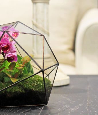 Виды флорариумов