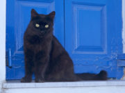 Пятница 13 в 2019 году: когда будет, история возникновения, в чем суть