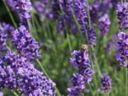 Выходные и праздничные дни в июле 2020: как отдыхаем и сколько работаем