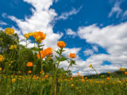 Выходные и праздничные дни в июне 2020: как отдыхаем и сколько работаем