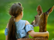 День защиты животных 2020: какого числа, история и традиции праздника