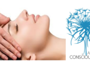 Что представляет собой методика Access Bars