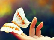 Как WeHappy помогло мне обрести счастье?