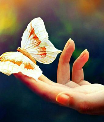 Как WeHappy помогло мне обрести счастье?