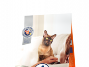 Особенности выбора кормов для кошек