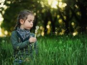 Приметы лета 2020 для детей: как определить по природе, что нас ждет летом