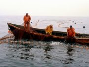 День рыболовства 2020: какого числа, история и традиции праздника