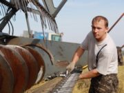 День работников сельского хозяйства 2020: какого числа, история и традиции праздника