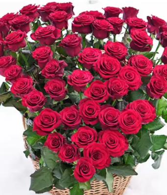 Выбираем букет в подарок на день рождения