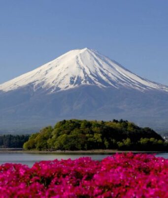 Турфирма TOKIO: поиск и бронирование туров на сайте