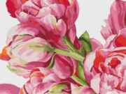 Как правильно повесить картину по номерам на стену?