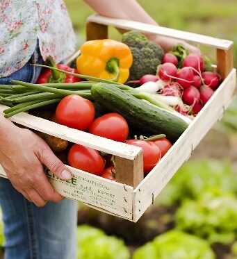 Какие они, органические продукты питания?