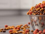 Сухой корм для котов: сбалансированное питание для любимцев