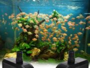 Как выбрать нужную помпу для аквариума?