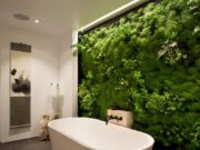 Сферы применения стабилизированного мха