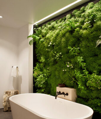 Сферы применения стабилизированного мха