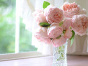 Пионы: благородные цветы для утонченных и нежных особ