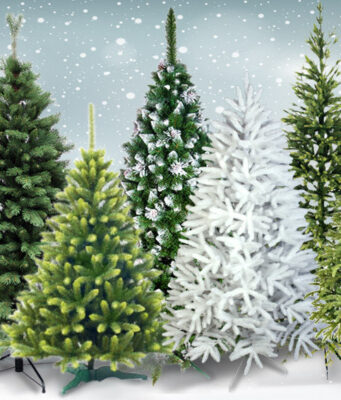 Выгодно ли продавать елки оптом в Украине?