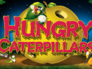 Игровой автомат Caterpillars: описание, правила игры