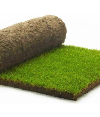 Рулонный газон: как правильно использовать?