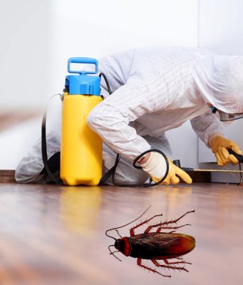 Проведение дезинфекции квартиры от тараканов