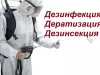 Дератизация на предприятиях: зачем нужна и как правильно проводить