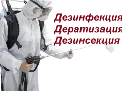 Дератизация на предприятиях: зачем нужна и как правильно проводить
