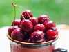Где купить ягоды свежей черешни в Спб?