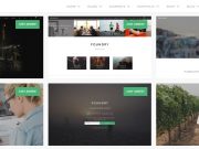 Популярные шаблоны на WordPress