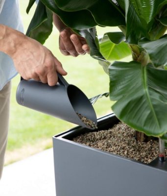 Как использовать субстраты лечуза?