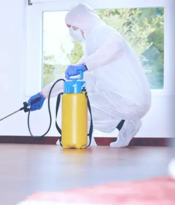 Как избавиться от нежелательных соседей: Дезинфекция и борьба с вредителями